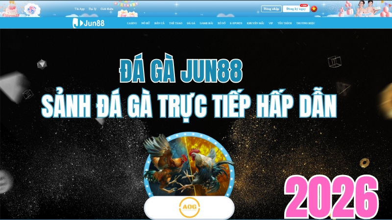 Đá Gà JUN88 – Xem Trực Tiếp, Cược Nhanh 2026