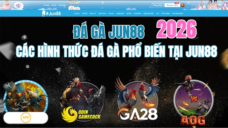 Các Hình Thức Đá Gà Phổ Biến Tại JUN88